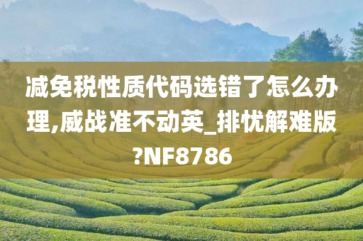 减免税性质代码选错了怎么办理,威战准不动英_排忧解难版?NF8786