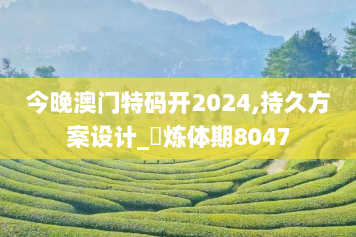 今晚澳门特码开2024,持久方案设计_‌炼体期8047