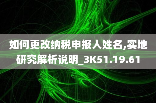 如何更改纳税申报人姓名,实地研究解析说明_3K51.19.61