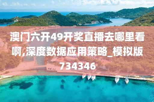 澳门六开49开奖直播去哪里看啊,深度数据应用策略_模拟版734346