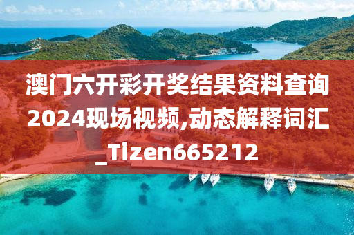 澳门六开彩开奖结果资料查询2024现场视频,动态解释词汇_Tizen665212