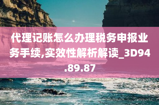 代理记账怎么办理税务申报业务手续,实效性解析解读_3D94.89.87