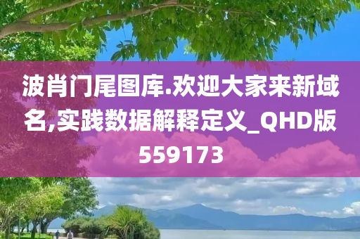 波肖门尾图库.欢迎大家来新域名,实践数据解释定义_QHD版559173