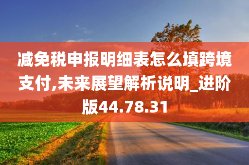 减免税申报明细表怎么填跨境支付,未来展望解析说明_进阶版44.78.31