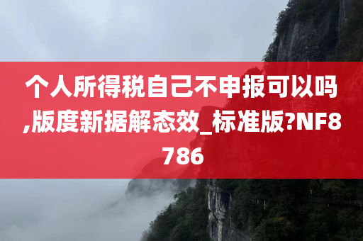 个人所得税自己不申报可以吗,版度新据解态效_标准版?NF8786