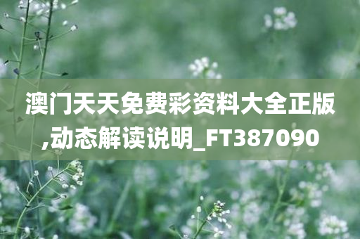 澳门天天免费彩资料大全正版,动态解读说明_FT387090