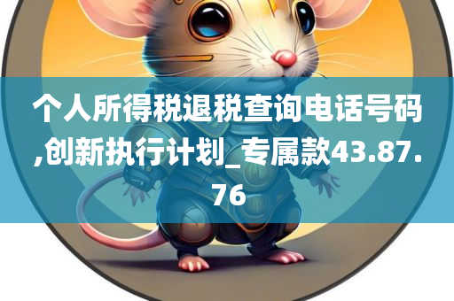 个人所得税退税查询电话号码,创新执行计划_专属款43.87.76