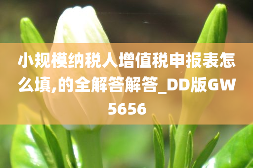 小规模纳税人增值税申报表怎么填,的全解答解答_DD版GW5656