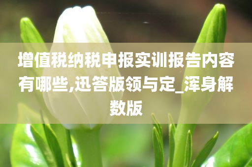 增值税纳税申报实训报告内容有哪些,迅答版领与定_浑身解数版