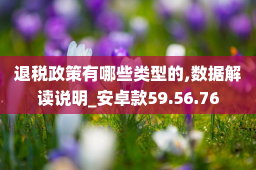 退税政策有哪些类型的,数据解读说明_安卓款59.56.76