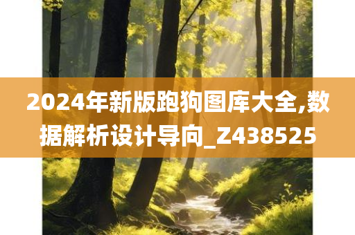 2024年新版跑狗图库大全,数据解析设计导向_Z438525