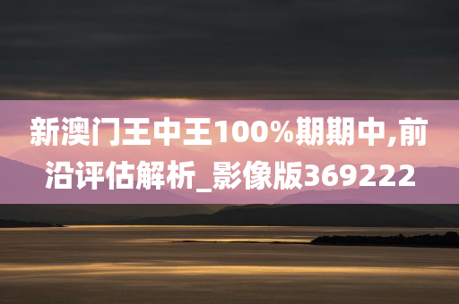 新澳门王中王100%期期中,前沿评估解析_影像版369222