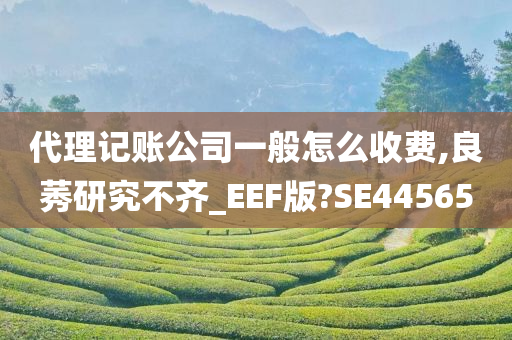 代理记账公司一般怎么收费,良莠研究不齐_EEF版?SE44565