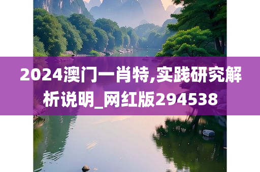 2024澳门一肖特,实践研究解析说明_网红版294538