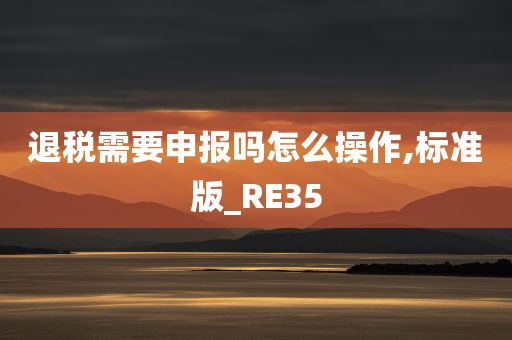 退税需要申报吗怎么操作,标准版_RE35