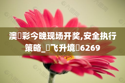 澳門彩今晚现场开奖,安全执行策略_‌飞升境‌6269