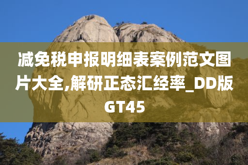 减免税申报明细表案例范文图片大全,解研正态汇经率_DD版GT45