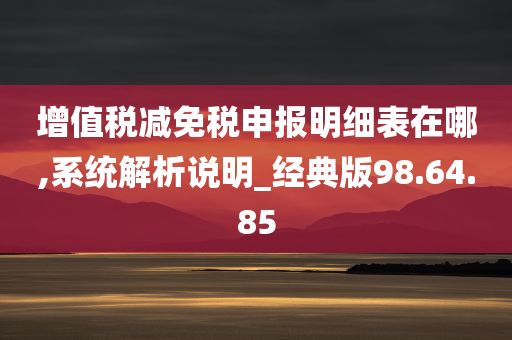 增值税减免税申报明细表在哪,系统解析说明_经典版98.64.85