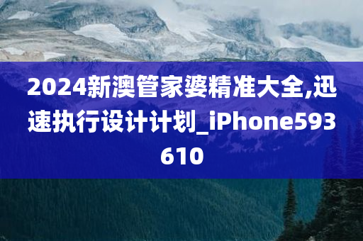 2024新澳管家婆精准大全,迅速执行设计计划_iPhone593610