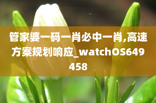 管家婆一码一肖必中一肖,高速方案规划响应_watchOS649458