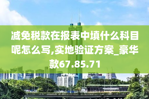 减免税款在报表中填什么科目呢怎么写,实地验证方案_豪华款67.85.71