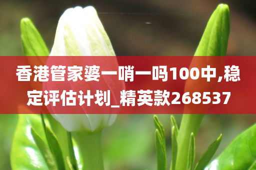 香港管家婆一哨一吗100中,稳定评估计划_精英款268537