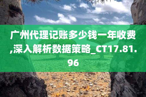 广州代理记账多少钱一年收费,深入解析数据策略_CT17.81.96