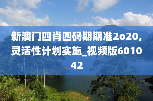 新澳门四肖四码期期准2o20,灵活性计划实施_视频版601042