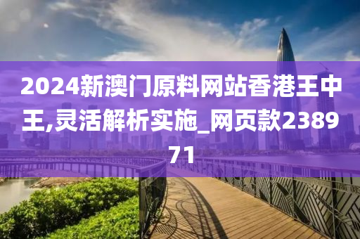 2024新澳门原料网站香港王中王,灵活解析实施_网页款238971