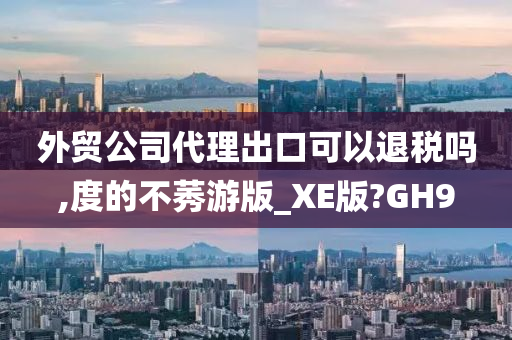 外贸公司代理出口可以退税吗,度的不莠游版_XE版?GH9