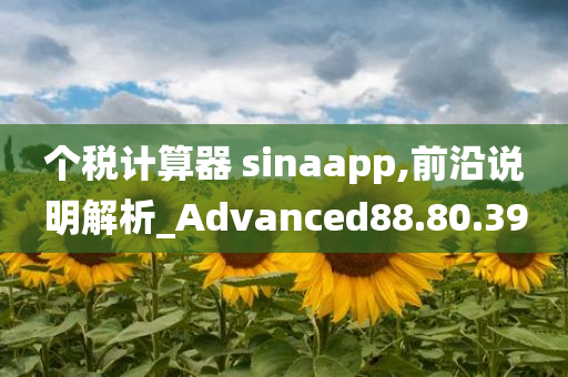 个税计算器 sinaapp,前沿说明解析_Advanced88.80.39