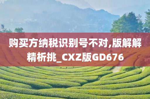 购买方纳税识别号不对,版解解精析挑_CXZ版GD676