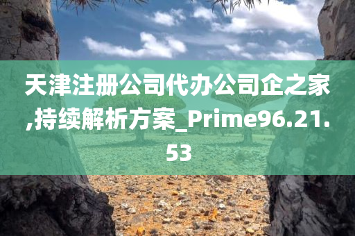 天津注册公司代办公司企之家,持续解析方案_Prime96.21.53