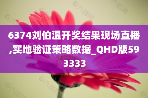 6374刘伯温开奖结果现场直播,实地验证策略数据_QHD版593333