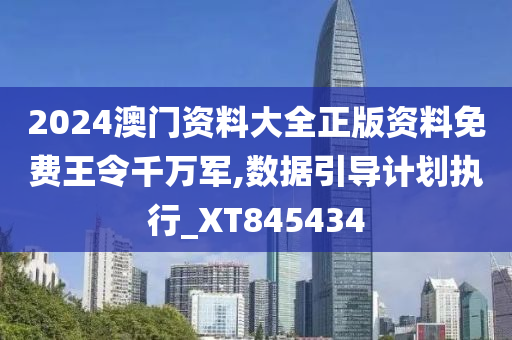 2024澳门资料大全正版资料免费王令千万军,数据引导计划执行_XT845434