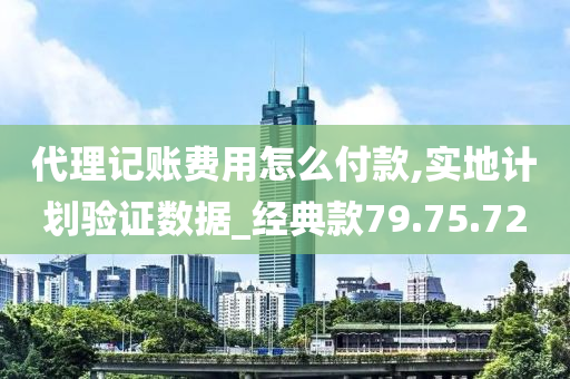 代理记账费用怎么付款,实地计划验证数据_经典款79.75.72