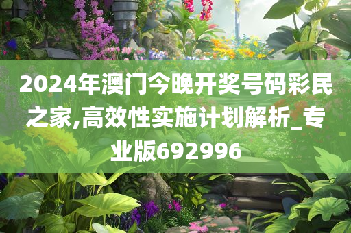 2024年澳门今晚开奖号码彩民之家,高效性实施计划解析_专业版692996