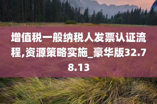 增值税一般纳税人发票认证流程,资源策略实施_豪华版32.78.13