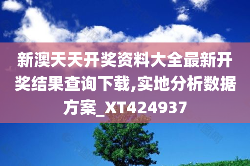 新澳天天开奖资料大全最新开奖结果查询下载,实地分析数据方案_XT424937