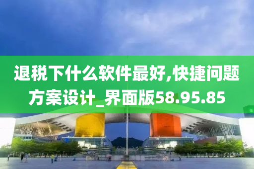 退税下什么软件最好,快捷问题方案设计_界面版58.95.85