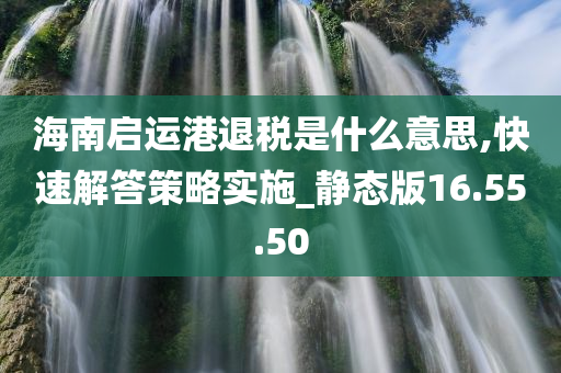 海南启运港退税是什么意思,快速解答策略实施_静态版16.55.50