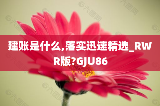 建账是什么,落实迅速精选_RWR版?GJU86