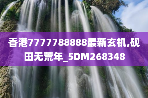 香港7777788888最新玄机,砚田无荒年_5DM268348