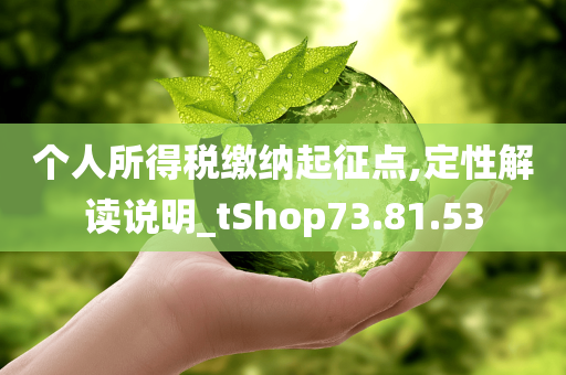 个人所得税缴纳起征点,定性解读说明_tShop73.81.53