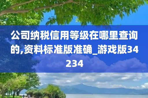 公司纳税信用等级在哪里查询的,资料标准版准确_游戏版34234