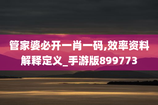 管家婆必开一肖一码,效率资料解释定义_手游版899773