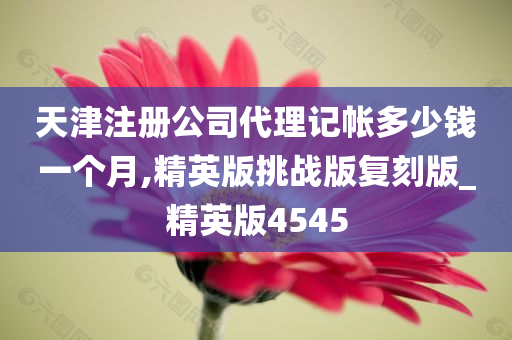 天津注册公司代理记帐多少钱一个月,精英版挑战版复刻版_精英版4545