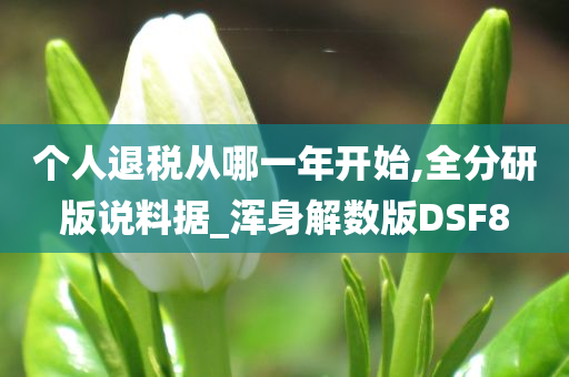 个人退税从哪一年开始,全分研版说料据_浑身解数版DSF8