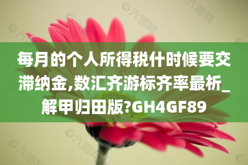 每月的个人所得税什时候要交滞纳金,数汇齐游标齐率最析_解甲归田版?GH4GF89