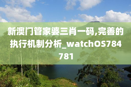 新澳门管家婆三肖一码,完善的执行机制分析_watchOS784781